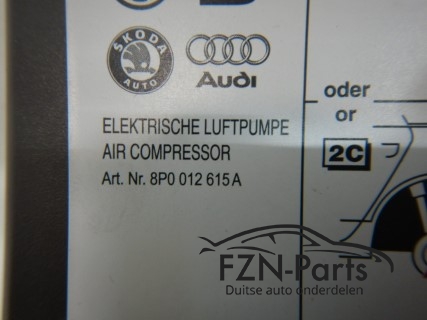 Audi TT 8J Elektrische Luchtpomp Compressor 8P0012615A