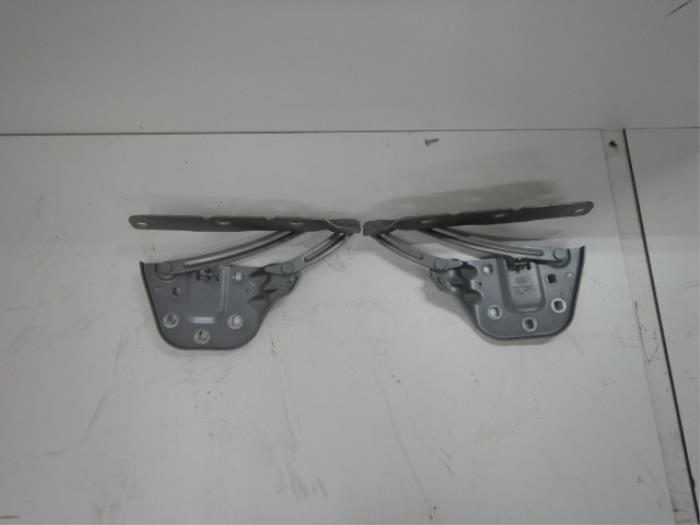 Motorkap Scharnier Diversen (22738828)