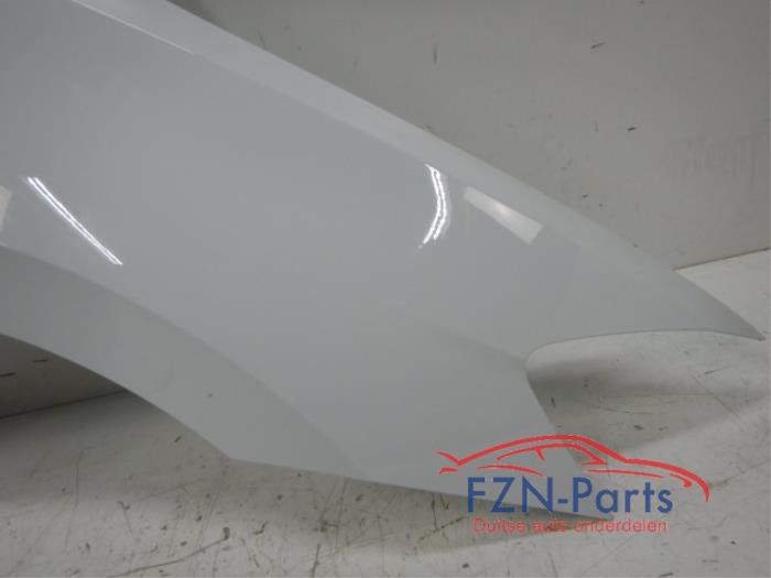 Scherm rechts-voor Volkswagen Golf Sportsvan (22724071)