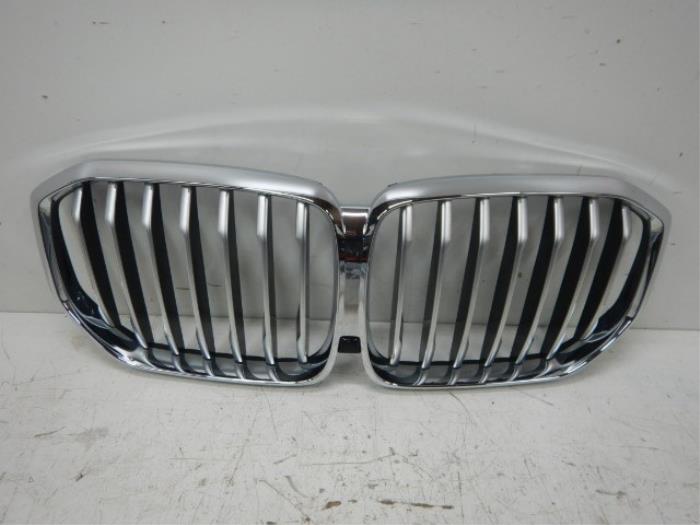 Grille BMW Diversen (22738774)