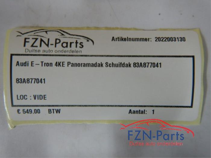 Panoramadak Audi E-Tron (22729956)