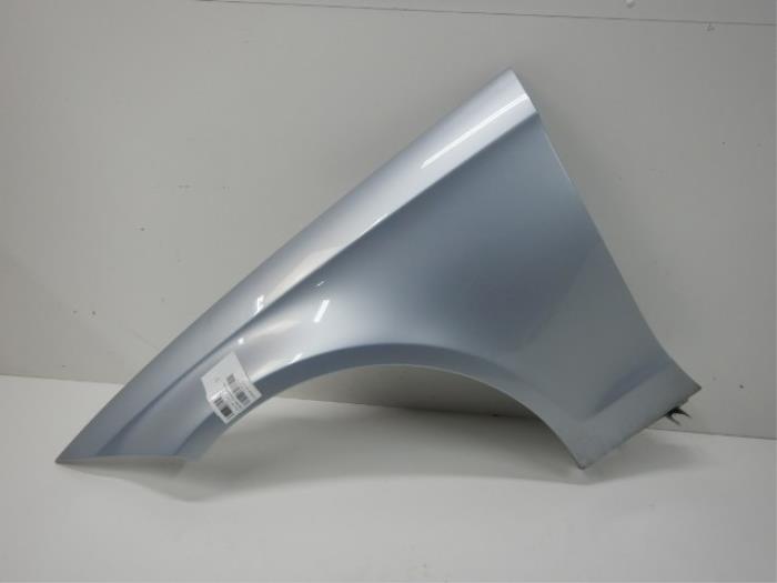 Mercedes - Benz CLS W218 Zijscherm Spatscherm Links