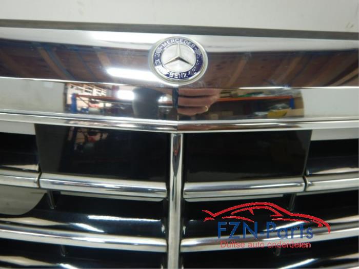 Mercedes-Benz W222 S-klasse Grille Nightvision 360 Camera