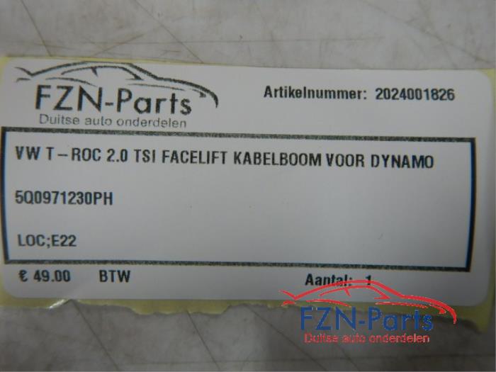 Dynamo Volkswagen T-Roc (22729073)