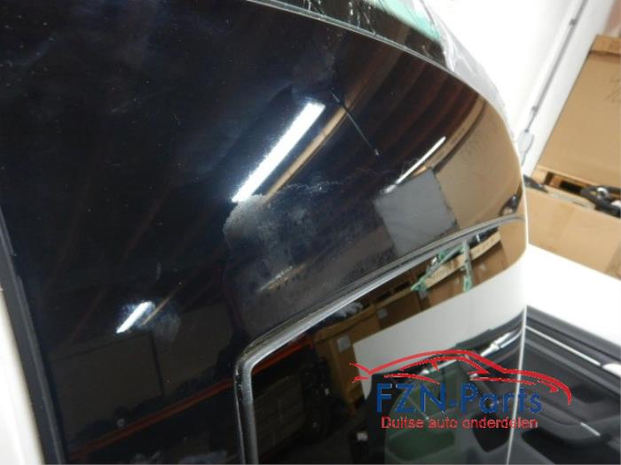 Panoramadak Volkswagen Golf (22729957)