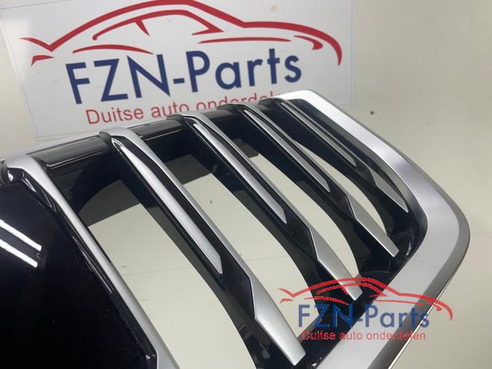 Grille BMW X1 (22781966)
