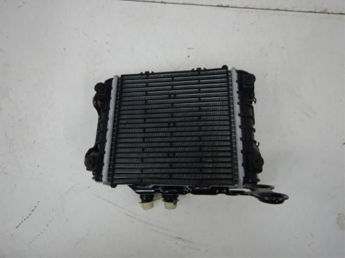 Kachel Radiateur Volkswagen Tiguan (22742150)
