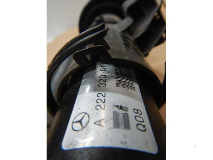 Schokdemperpoot links-voor Mercedes S-Klasse (22744087)