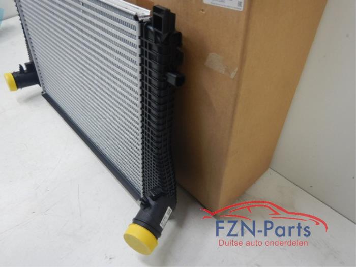 VW Golf 8 R 2.0 TFSI Intercooler