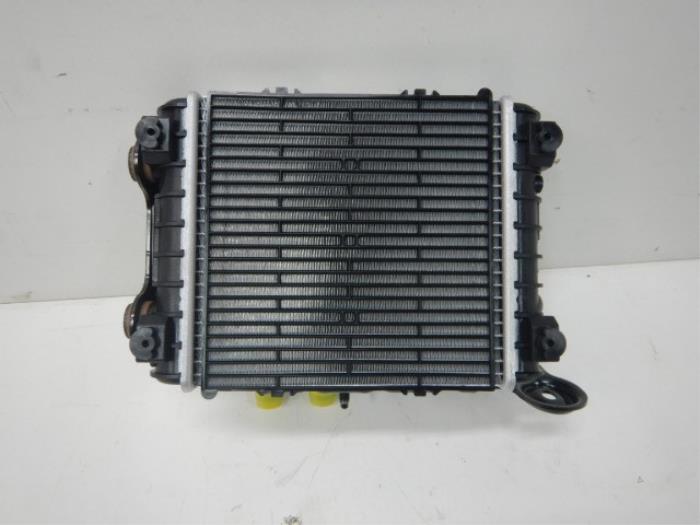 Kachel Radiateur Volkswagen Tiguan (22740244)