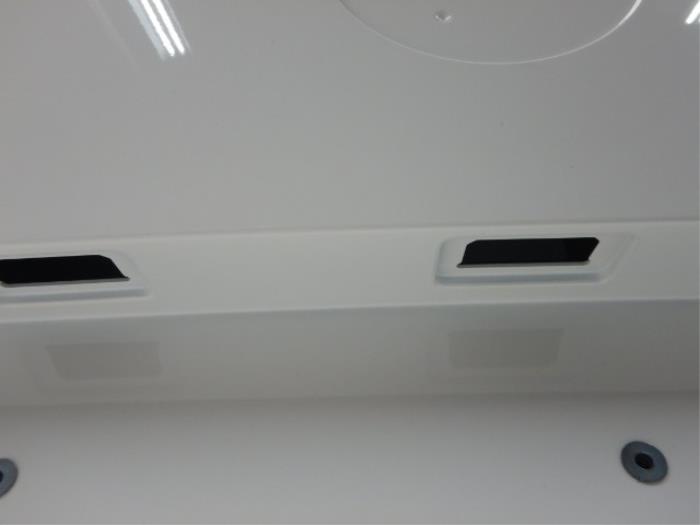 VW ID-Buzz Achterportieren Set L+R LB9A
