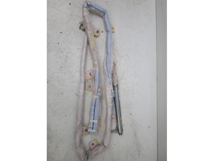 Airbag hemel links Volkswagen Sharan (22730313)
