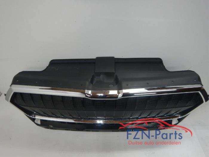 Grille Skoda Diversen (22726715)