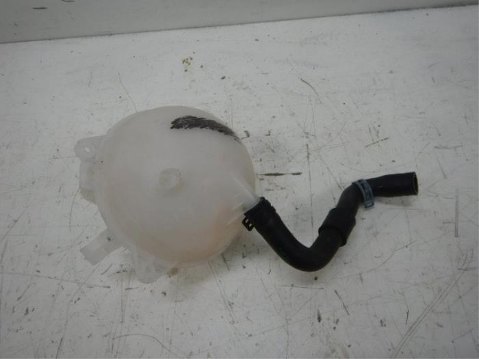Expansievat Volkswagen Beetle (22740857)
