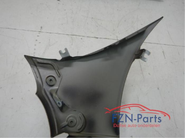 Scherm rechts-voor Volkswagen Beetle (22743284)