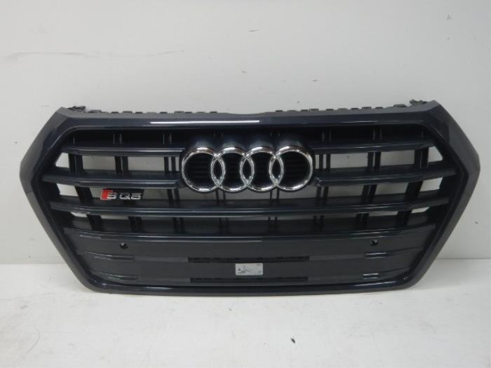 Grille Audi Q5 (22722250)
