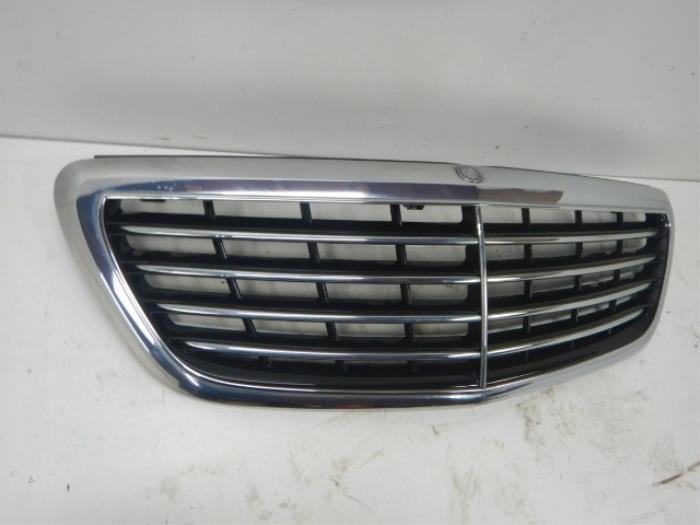 Grille Mercedes S-Klasse (22726655)