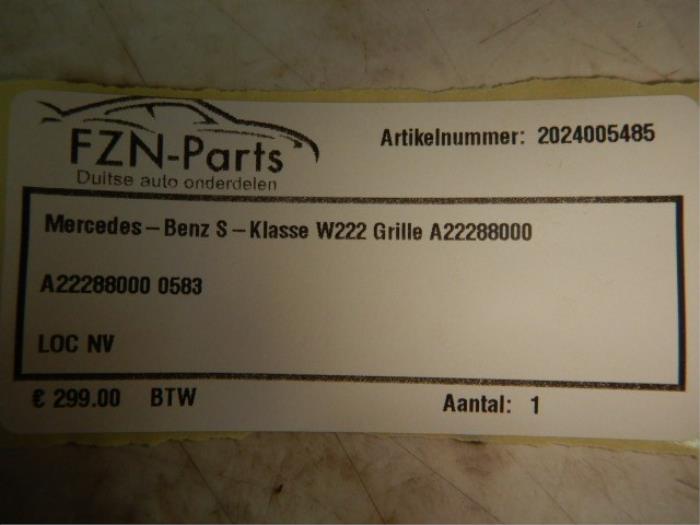 Grille Mercedes S-Klasse (22726655)