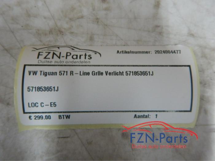Grille Volkswagen Tiguan (22726713)