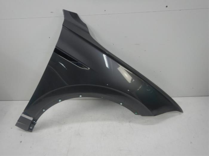 Scherm rechts-voor Volkswagen Touareg (22724069)