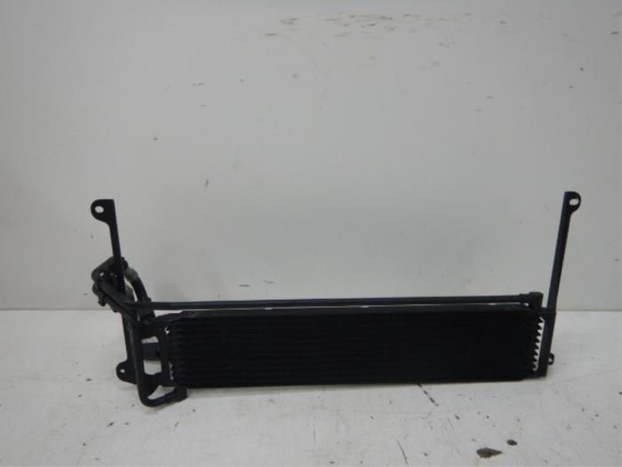 Radiateur Volkswagen Tiguan (22742337)