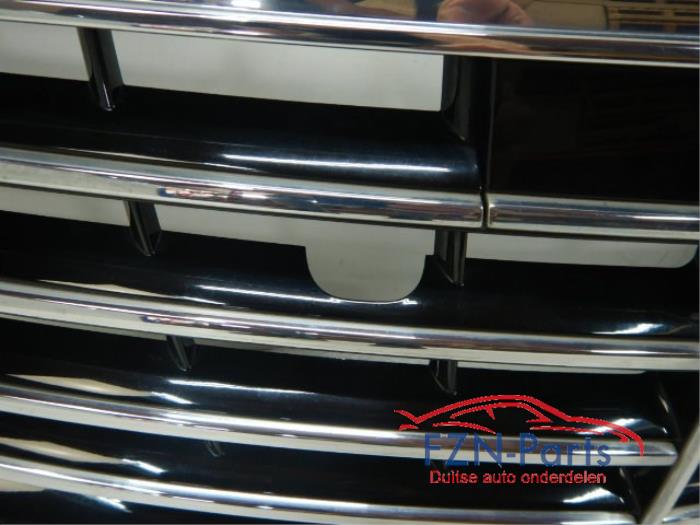Mercedes-Benz W222 S-klasse Grille Nightvision 360 Camera