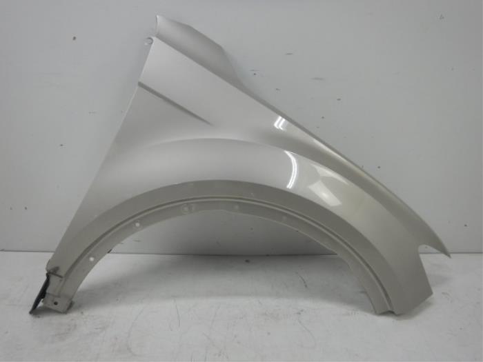 Scherm rechts-voor Volkswagen T-Roc (22724091)