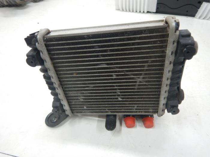 Kachel Radiateur Volkswagen Passat (22739414)