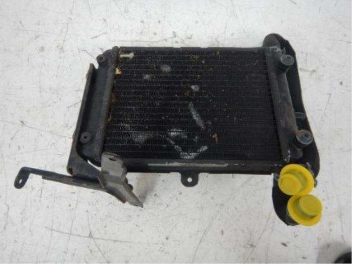Kachel Radiateur Audi TT (22743939)