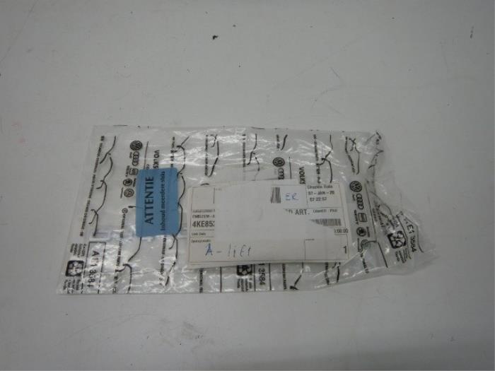 Embleem Audi E-Tron (22729168)