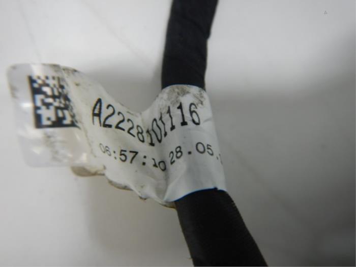 Buitenspiegel links Mercedes S-Klasse (22725336)