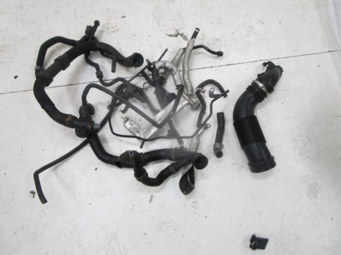 Slang (diversen) Audi A3 (22744818)
