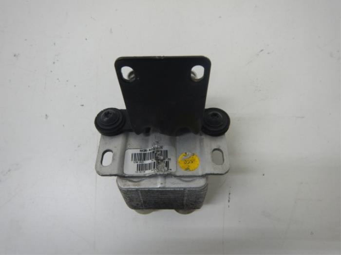 Warmtewisselaar Volkswagen Golf (22741966)