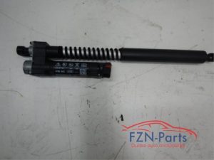 Gasdemper links-achter Audi E-Tron (22743897)