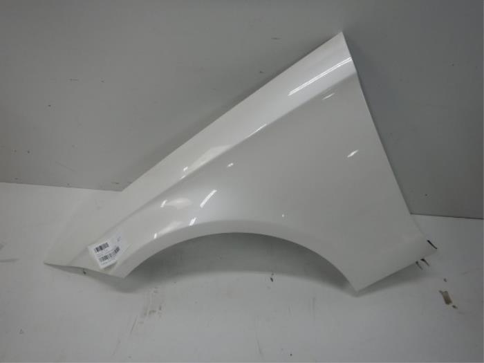 Mercedes Benz CLS W218 Zijscherm Spatscherm Links