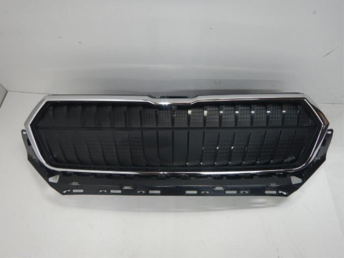 Grille Skoda Diversen (22726715)
