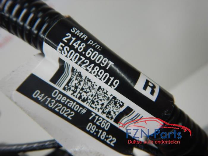 Buitenspiegel links Tesla Model S (22725415)