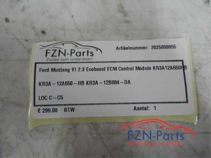 ECM module Ford Usa Mustang (22741971)