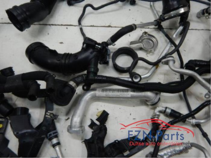 Slang (diversen) Audi A6 (22744248)