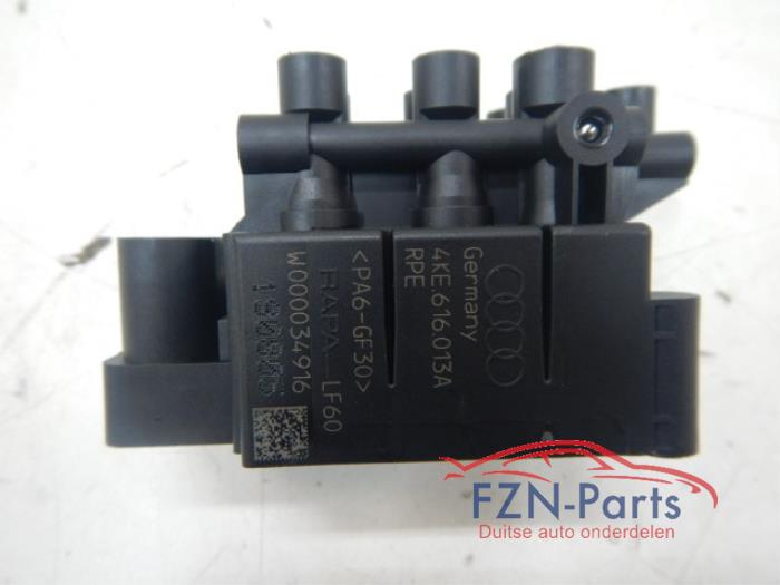 Luchthoeveelheidsmeter Audi E-Tron (22738291)