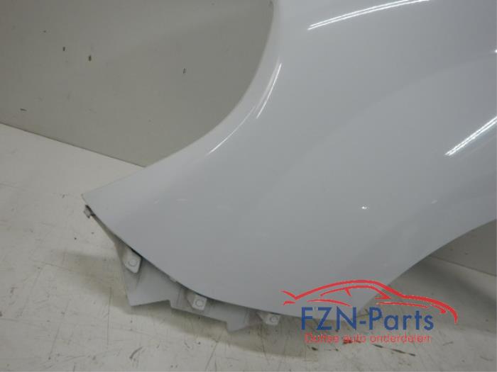 Renault Kangoo 2 Facelift Zijscherm (Spatscherm Links)
