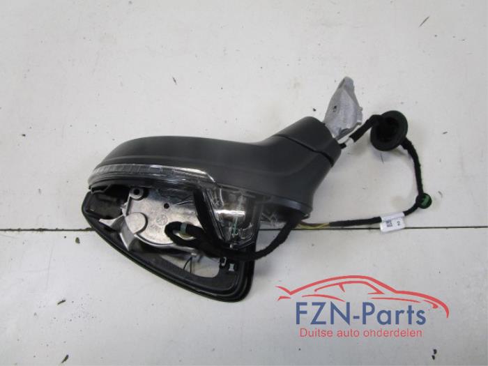 Buitenspiegel links Volkswagen Tiguan (22725698)