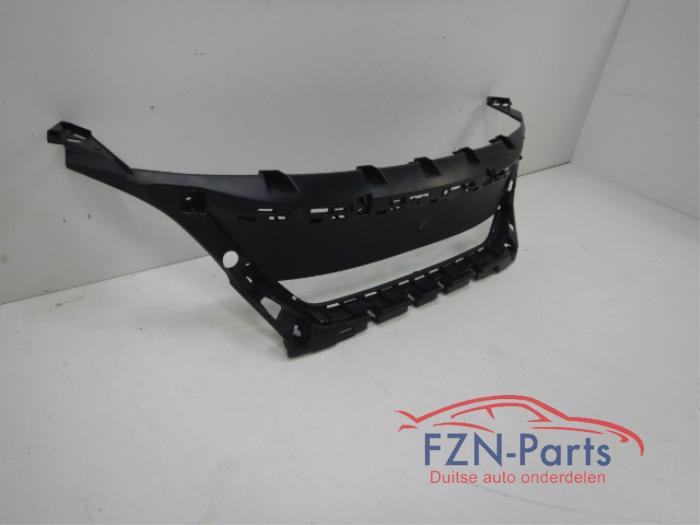 Grille Houder Peugeot 3008 (22740521)