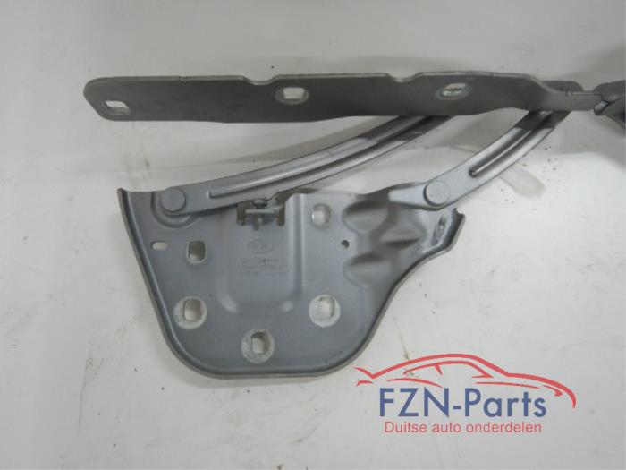 Motorkap Scharnier Diversen (22738828)