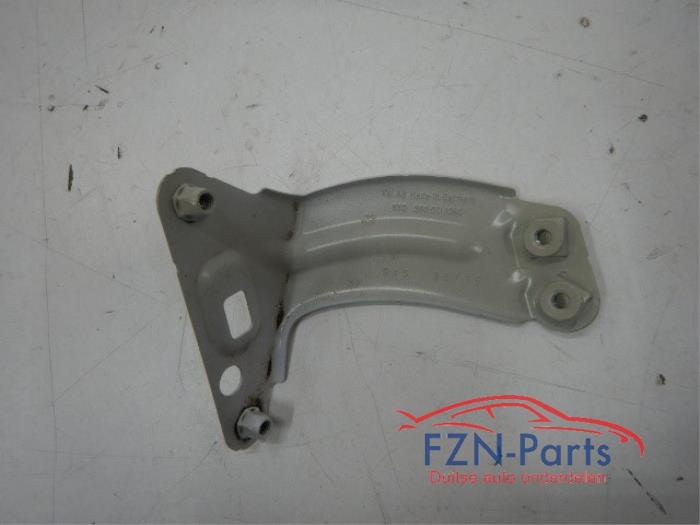 Steun (diversen) Volkswagen Golf (22744153)