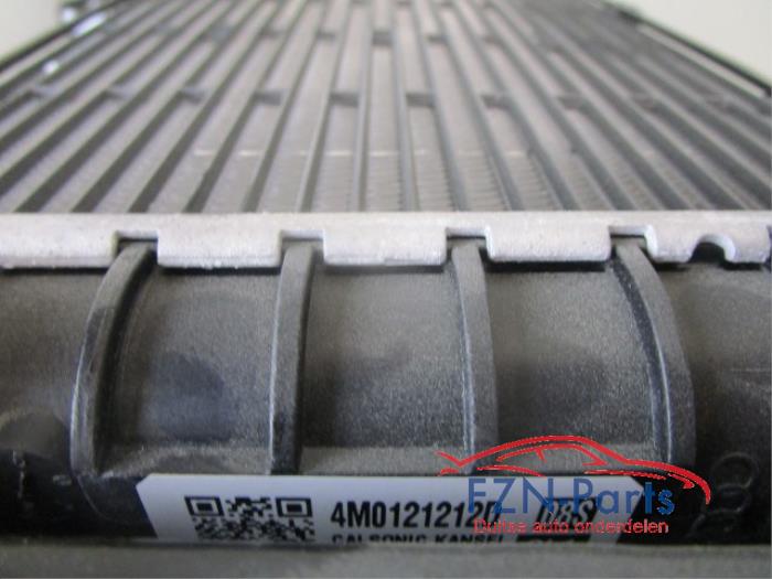 Kachel Radiateur Volkswagen Touareg (22743324)