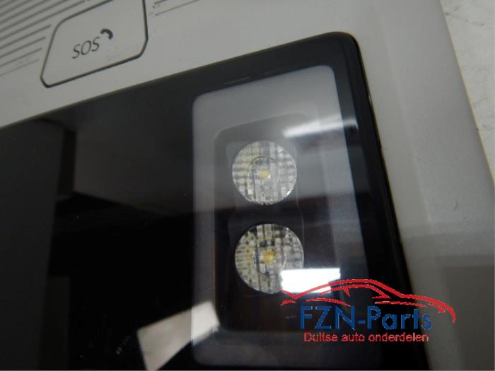 VW Golf 8 Hemel Binnenverlichting LED