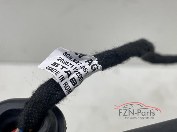 VW Passat B8 Elektrische Gasveer Links