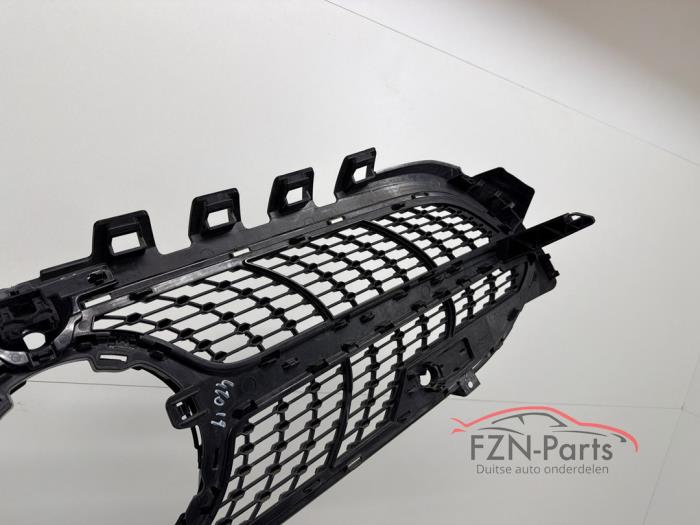 Mercedes-Benz A-Klasse W177 Diamond Grille Camera