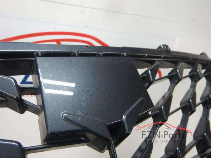 Seat Cupra Born Voorbumper Inleg Set